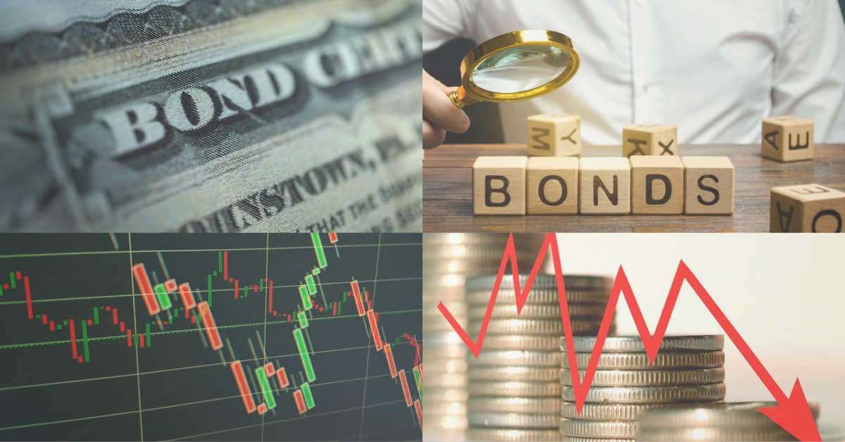 Weekly Market Update and Spotlight on New Zealand Bond Market Shifts: Navigating the Impact of Falling Interest Rates