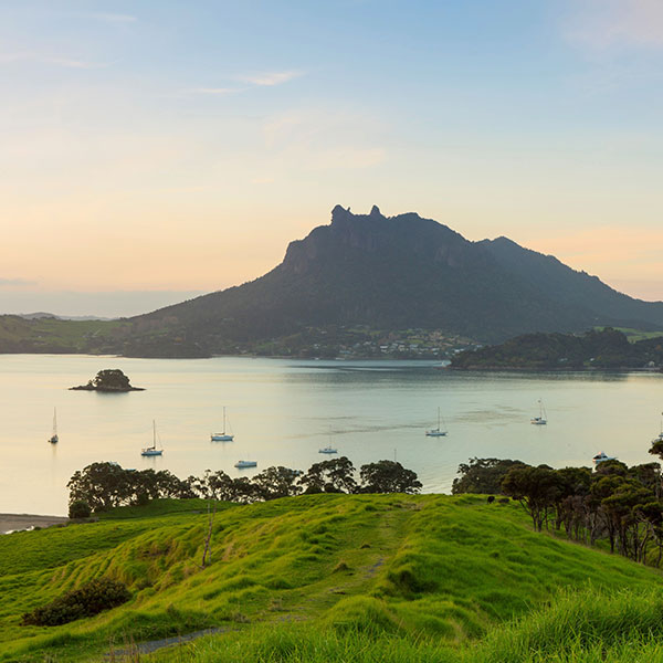 Whangarei Harbour